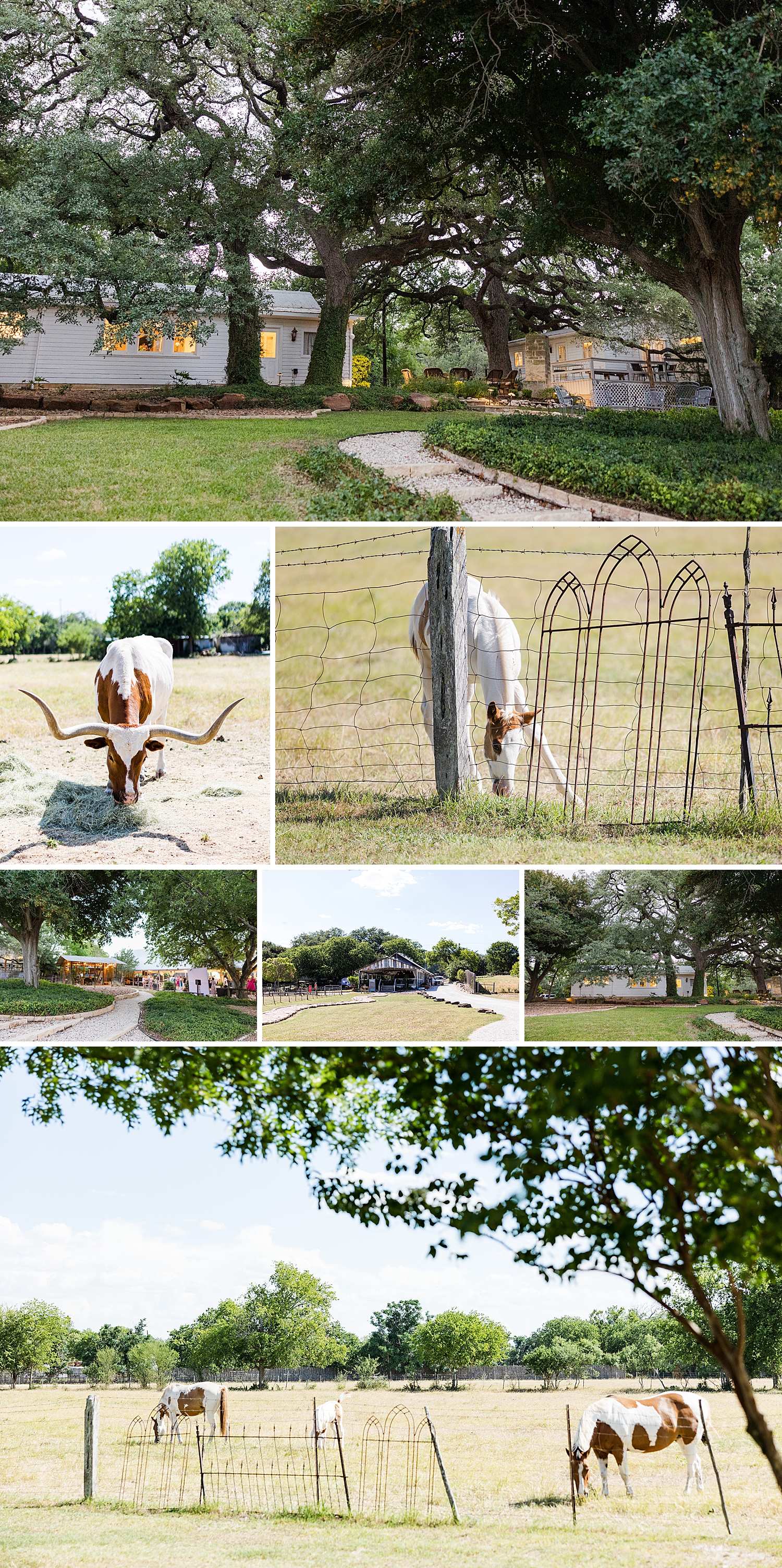 Gruene-Estate-Summer-Texas-Weddng-New-Braunfels-Kimberly-Brian-Carly-Barton-Photography-Weddings_0012.jpg